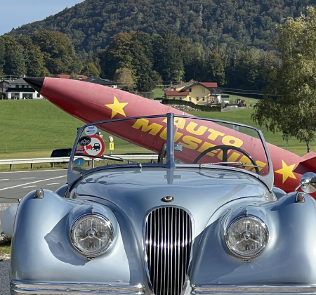 Unrivaled Curves. The Supremacy of Pastel Blue.