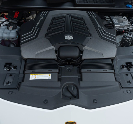 Quality that Surpasses the Showroom