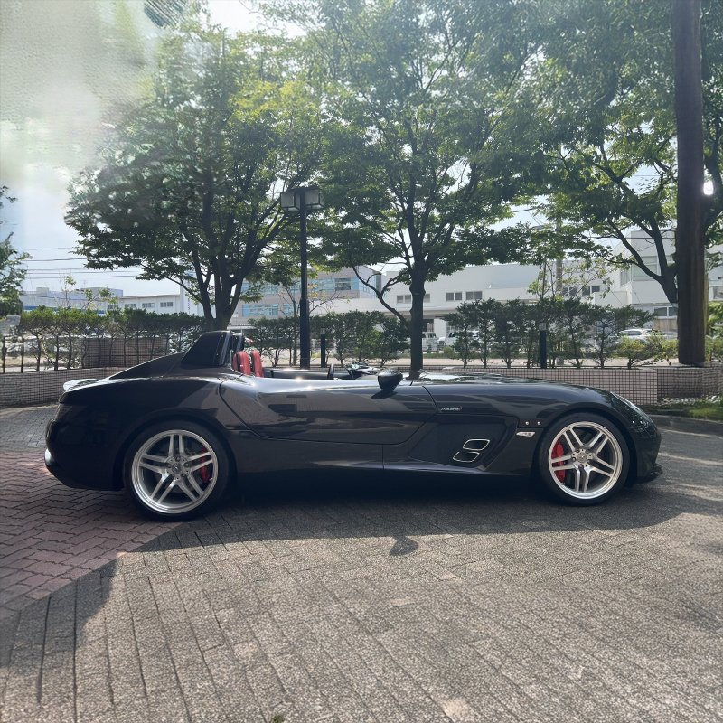 Mercedes-Benz SLR McLaren Stirling Moss 2010