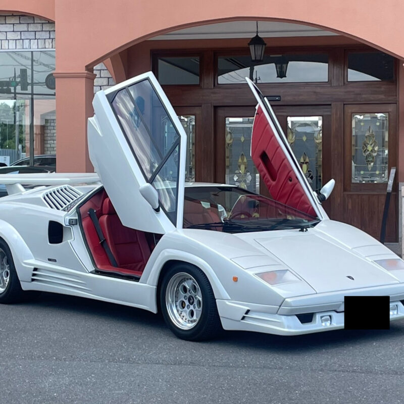 Lamborghini Countach Anniversary 1989 48,000km