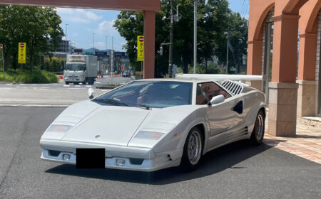 Lamborghini Countach Anniversary 1989 48,000km