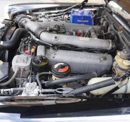 The Joy of Awakening a Legend