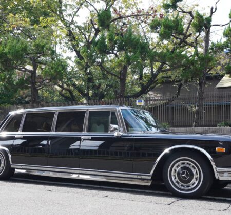 A Symbol of Absolute Authority