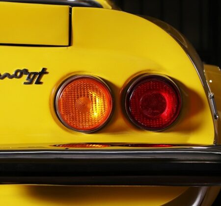 The Pride of 'Fly Yellow'—A Radiant Symbol of the Sun.