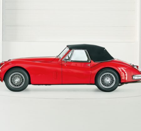 Aristocratic Poise in Vivid Red