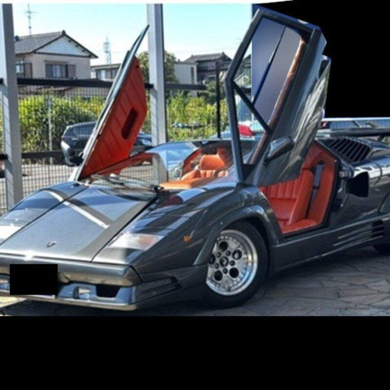Lamborghini Countach 25th Anniversary Edition 1993 30,000km