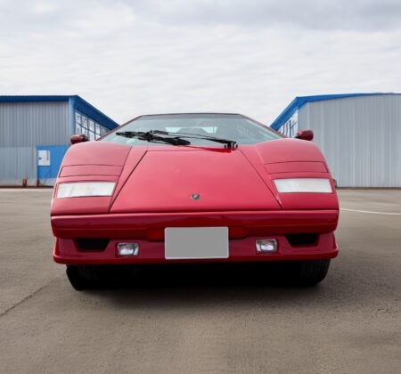 The Miracle of First Paint. A Masterpiece in Scarlet, Untouched for 37 Years.