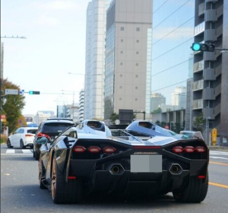 Open-Air Sculptural Beauty: Piercing the Future.