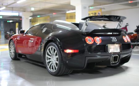 ブガッティ ヴェイロン 2005 1,489km