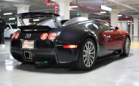 ブガッティ ヴェイロン 2005 1,489km