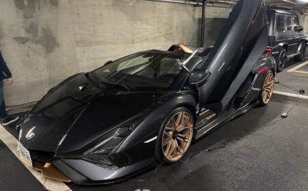 ランボルギーニ シアン ロードスター