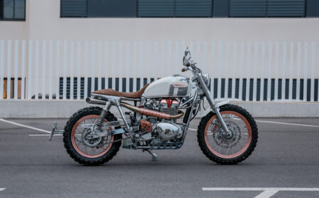 タマリット フォルトゥナ 2026