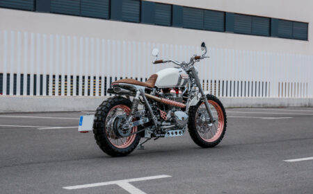 タマリット フォルトゥナ 2026