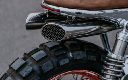 タマリット フォルトゥナ 2026