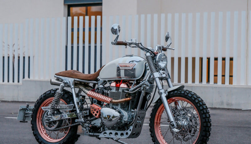 タマリット フォルトゥナ 2026