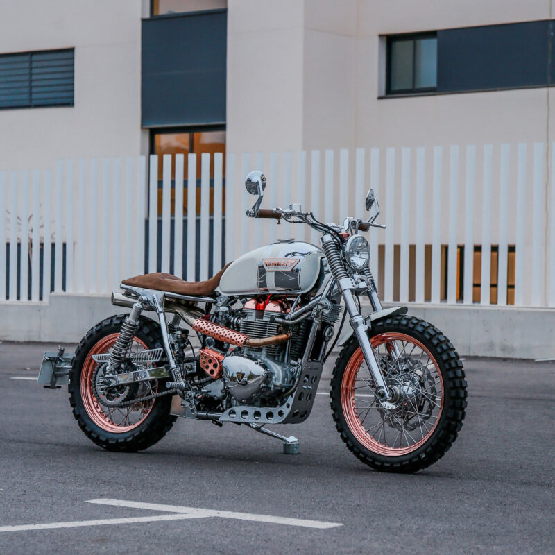 タマリット フォルトゥナ 2026