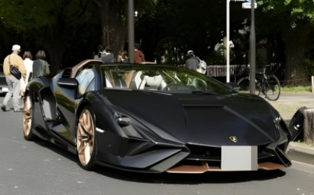 ランボルギーニ シアン ロードスター