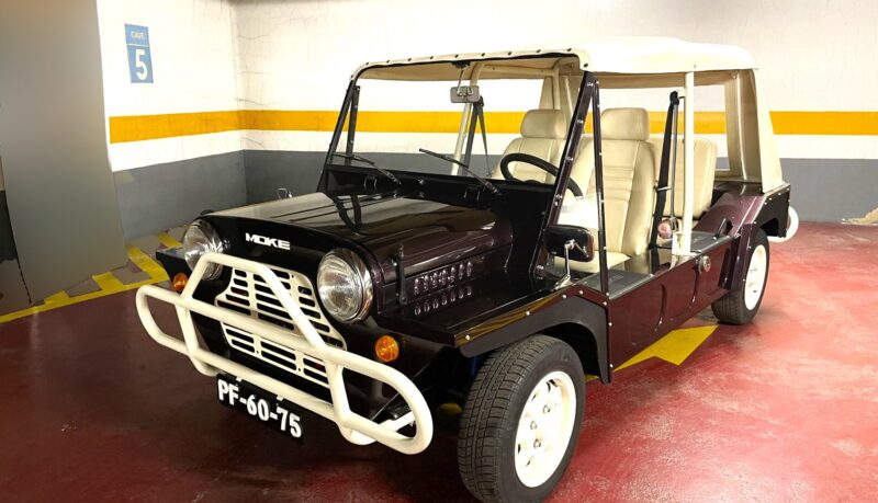 ミニ･モーク (Mini-Moke)  1988 61,000 km
