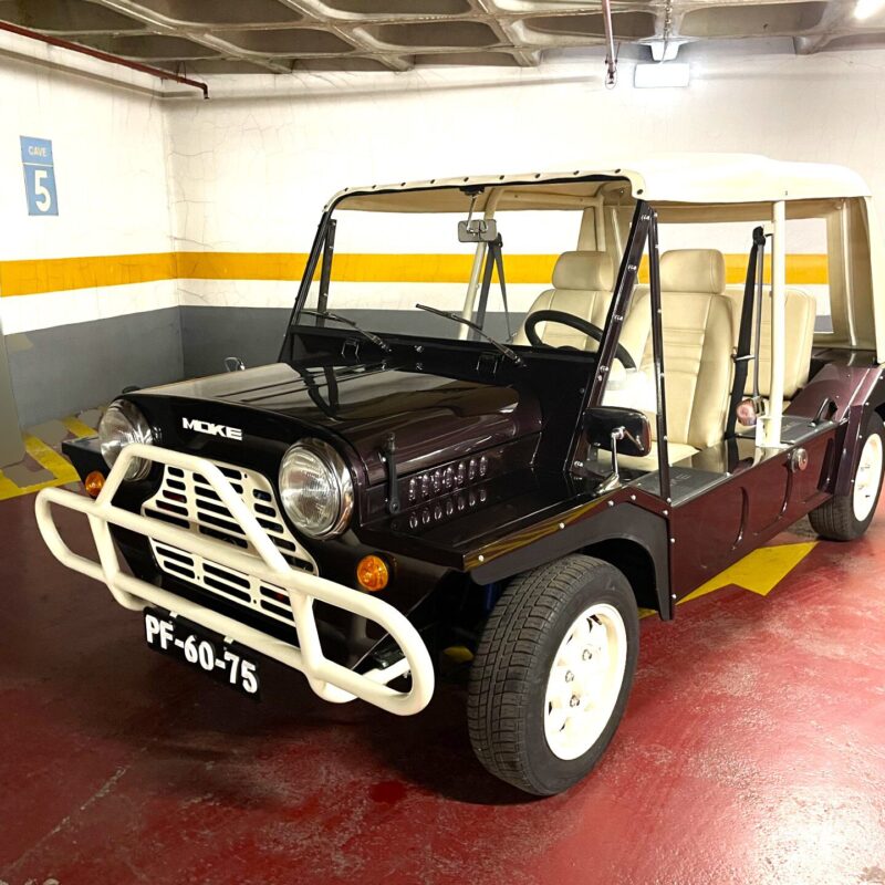 ミニ･モーク (Mini-Moke)  1988 61,000 km