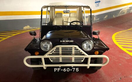 ミニ･モーク (Mini-Moke)  1988 61,000 km