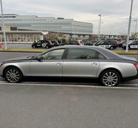 A Commanding Presence of Noble Stature