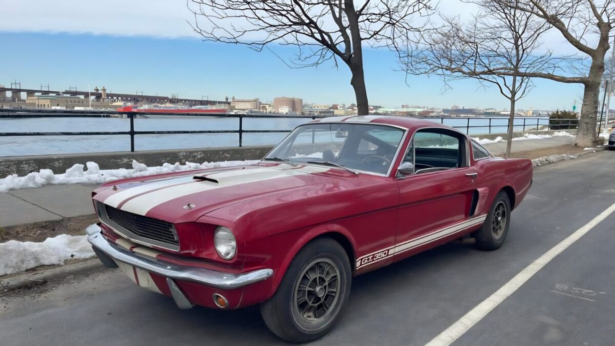 フォード マスタング シェルビー GT350 1966