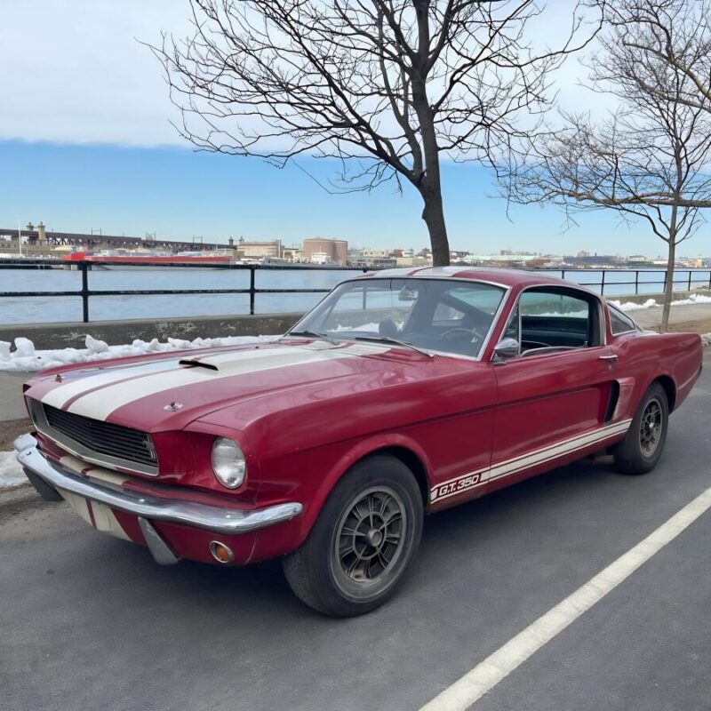 フォード マスタング シェルビー GT350 1966