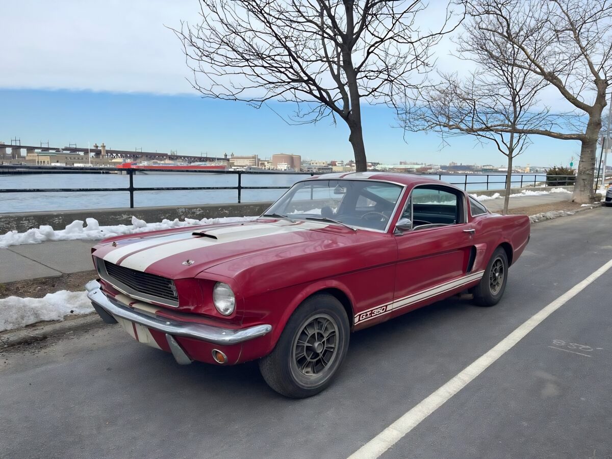 フォード マスタング シェルビー GT350 1966 | TPE Ltd. | スーパー