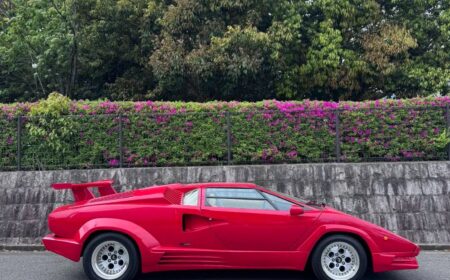 Lamborghini Countach 25th Anniversary 1989 43,300km