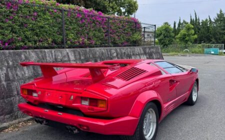 Lamborghini Countach 25th Anniversary 1989 43,300km