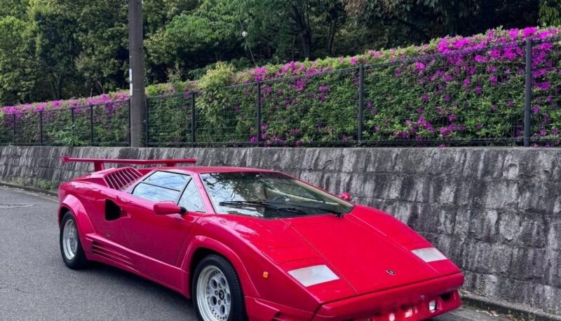 Lamborghini Countach 25th Anniversary 1989 43,300km