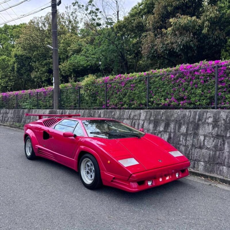 Lamborghini Countach 25th Anniversary 1989 43,300km