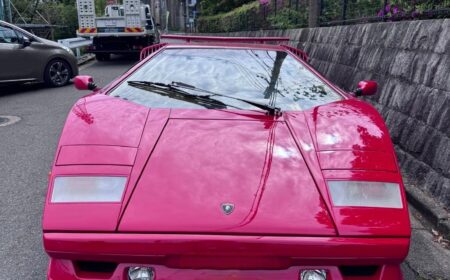 Lamborghini Countach 25th Anniversary 1989 43,300km