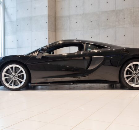 The Intimidating Presence of Onyx Black